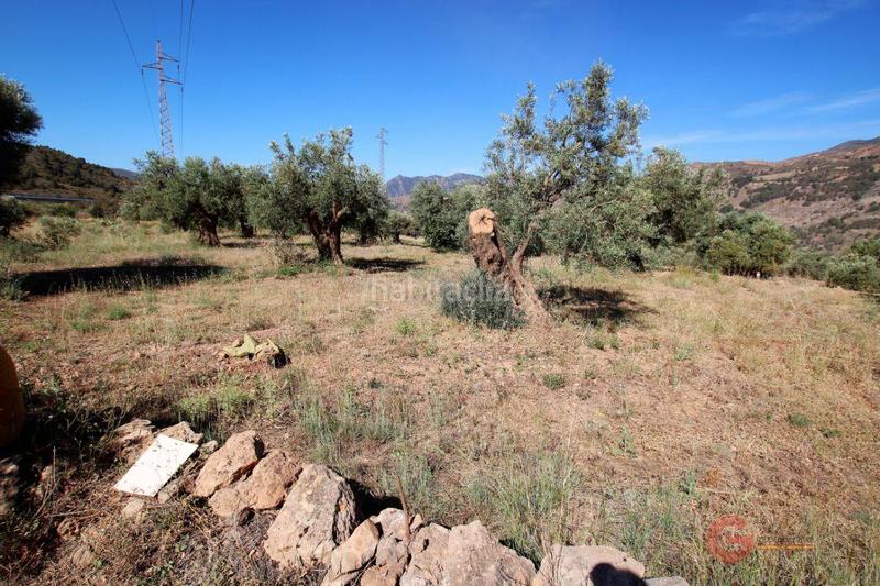 Foto d898445a-ec79-400e-966e-55d684969185. Terreno residencial terreno en Vélez de Benaudalla