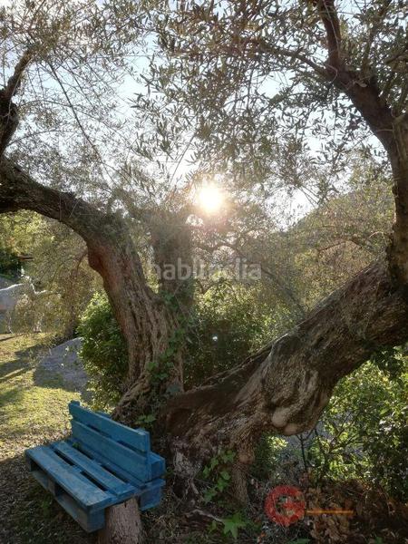 Foto 4c9c5beb-e9d6-4c7a-ad0f-c2f12c5a1169. Masía finca rustica en Órgiva
