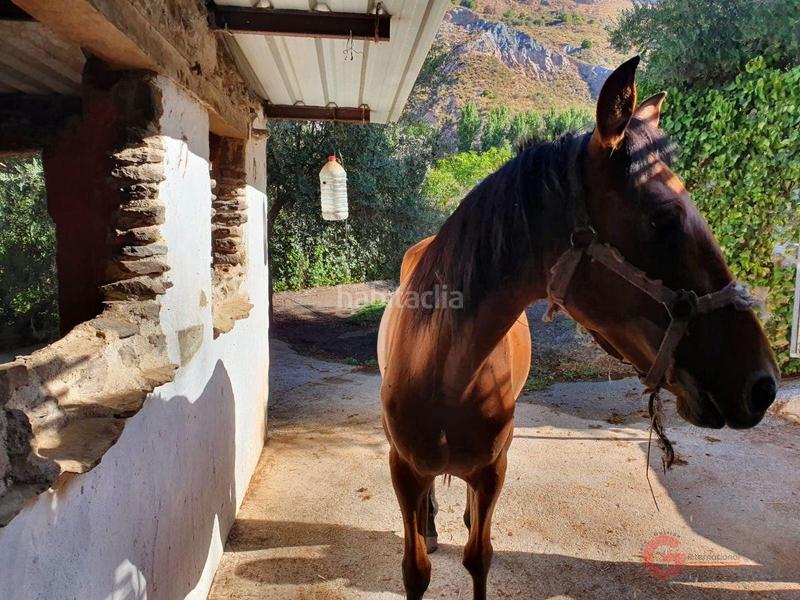 Foto 6d0837d7-bf78-4144-920b-cb6b6ec70086. Masía finca rustica en Órgiva