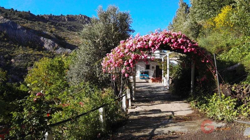 Foto c1fa0761-bf7e-4218-851d-2046ccf4121f. Masía finca rustica en Órgiva