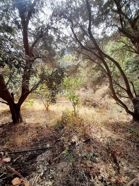 Foto 4fa7f603-744d-4652-aa00-39494388d115. Masía finca rustica en Motril ciudad Motril
