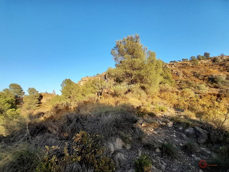 Foto f6f0beae-4b2a-4626-8671-039173313243. Terreno residencial terreno en Vélez de Benaudalla