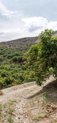 Masia a Los Tablones - La Garnatilla. Motrilfinca rustica