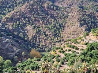 Terrain résidentiel à Guájares (Los). Guájar fondónterreno