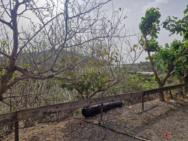 Foto 84a3e4cc-5474-4a9f-85e0-37d017295276. Masía finca rustica en Molvízar
