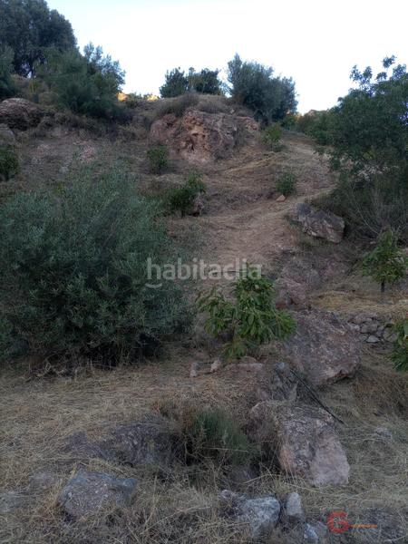 Foto 19f777d8-28fa-426f-a1c4-416dcf18d05a. Terreno residencial guájar altoterreno en Guájares (Los)
