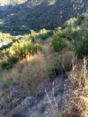 Terrain résidentiel à Guájares (Los). Guájar altoterreno