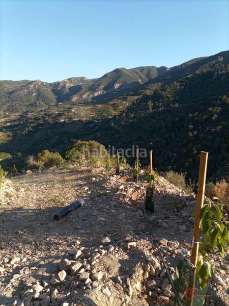 Foto a0afd60a-e3bd-4a8b-a69d-0fc526776250. Terreno residencial guájar altoterreno en Guájares (Los)