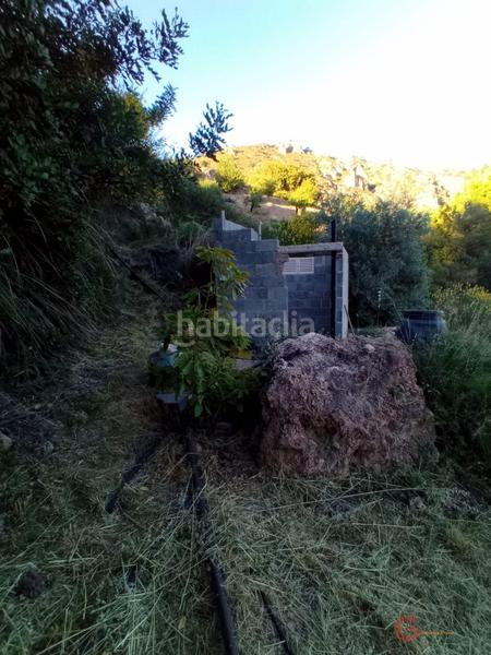 Foto cc133815-1f8b-467e-bda3-79e4f104c8f4. Terreno residencial guájar altoterreno en Guájares (Los)