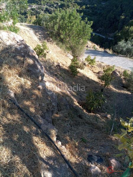 Foto e8194fcd-ae29-4bfc-a285-105e08a38752. Terreno residencial guájar altoterreno en Guájares (Los)