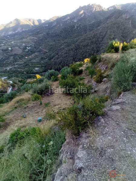 Foto ea4c7d24-f027-40c5-a57f-678c983bcbba. Terreno residencial guájar altoterreno en Guájares (Los)