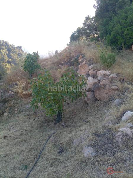 Foto eee77acf-5703-4031-a41b-7636929023c9. Terreno residencial guájar altoterreno en Guájares (Los)