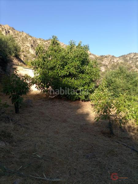 Foto fe51684c-c54b-4927-9b7a-afae320560c8. Terreno residencial guájar altoterreno en Guájares (Los)