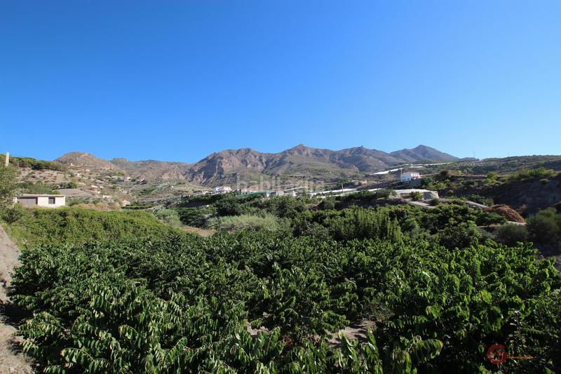 Foto a23bd206-3f3c-459b-bf96-62fc97e91717. Masía finca rustica en Molvízar