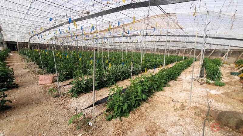 Foto 8c7ff5f4-98a7-4734-85ca-95b6bd060cd9. Masía finca rustica en Vélez de Benaudalla