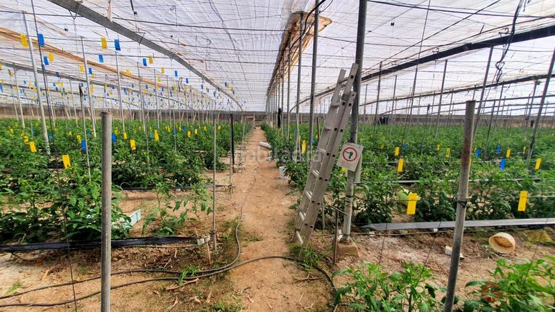 Foto 97fb3a0a-5780-4607-89cf-27b9ce023825. Masía finca rustica en Vélez de Benaudalla
