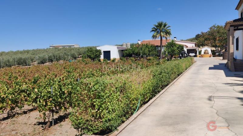 Foto 276b9772-fb3d-4895-ac3b-f11bff39cdc5. Chalet  en Montilla