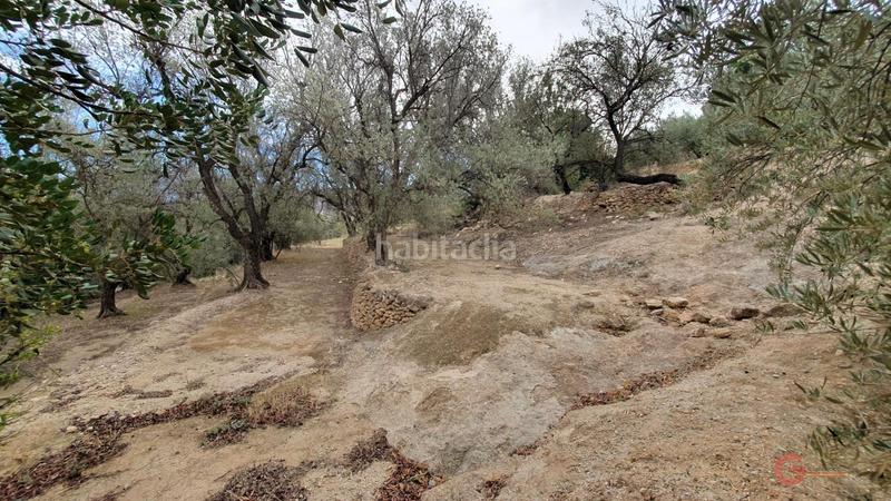 Foto 2d822bff-ab1f-45d0-8026-99ba1ec5d483. Terreno residencial píñarterreno en Pinar (El)