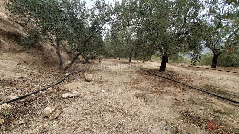 Foto cd88d70f-5ae0-46a1-bcaa-d234ade2cc9d. Terreno residencial píñarterreno en Pinar (El)