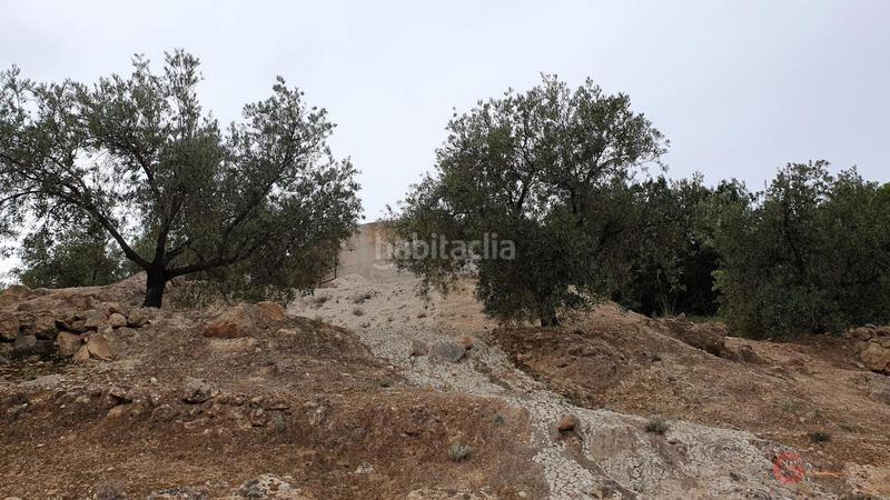 Foto fecb893e-6383-4bcc-9470-9906b0954fc8. Terreno residencial píñarterreno en Pinar (El)