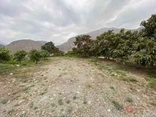 Masia a Motril  ciudad. Motrilfinca rustica