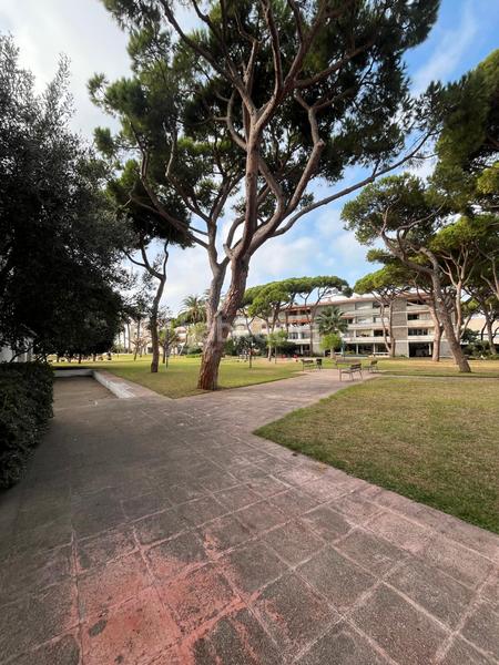 Foto c91e2b9e-8c0a-4c3c-9ff4-c1cd6f7d8144. Lloguer apartament amb calefacció aparcament piscina a Gavà