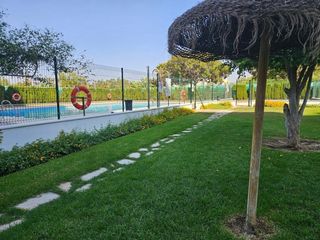 Pis a El Consul - Ciudad Universitaria - El Romeral