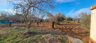 Casa  Carretera de puertollano