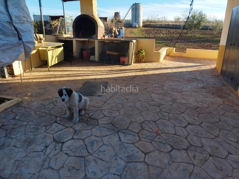 Foto e50ca3dd-94a4-46f6-a1ea-83441bf9c8b6. Propriété dans El Poblado - Abulagar Puertollano