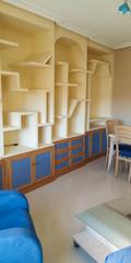 Flat  Plaza la mancha