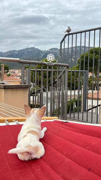 Foto ee8b0f1e-e5f2-407c-9654-3872a7b11a40. Chalet mit heizung parking pool in Pino Alto Miami Platja