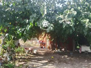 Xalet  N340. Se vende masia legalizada a poca distacia del mar en montroig ba