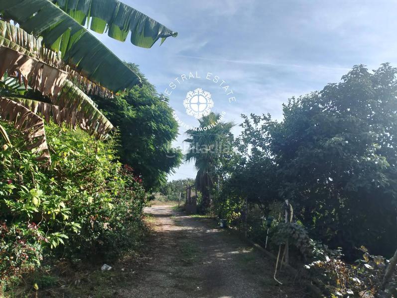 Foto a890c381-0c86-4db2-8b70-9e295ac6ed49. Chalet with parking pool in Platja de Mont-roig Mont-roig del Camp