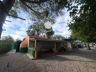 Landgut  16. Se vende parcela con pozo, casa legalizada y bosque de paulownia