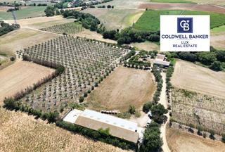 Casa  Giv-6219. Magnífico mas en venta en siurana, enclavado en más de 4,5 hectá