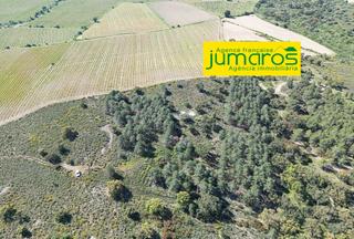 Terreny residencial  N/a. Se vende terreno rústico de uso agrícola de 17.542 m2 en garrigu