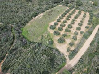 Terreny residencial  N/a. Les presentamos en venta la oportunidad de adquirir un lote de 3
