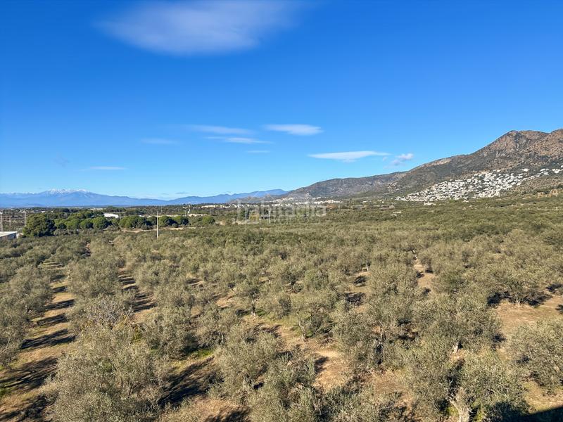 Foto 50af6272-dae1-4b90-8e1d-d16a28cf9549. Appartamento con riscaldamento parcheggio piscina in Roses