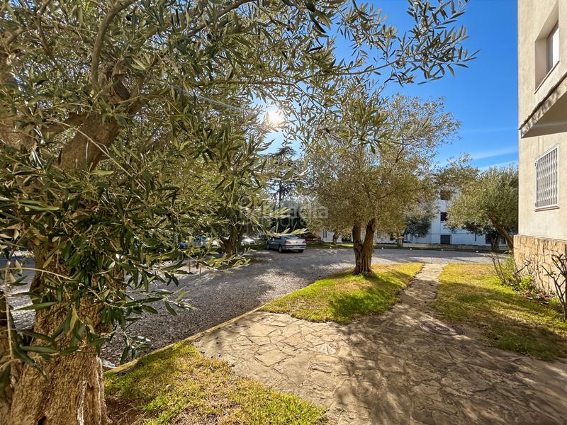 Foto d097e3f7-837e-459e-9398-c39d7e174b0e. Appartamento con riscaldamento parcheggio piscina in Roses