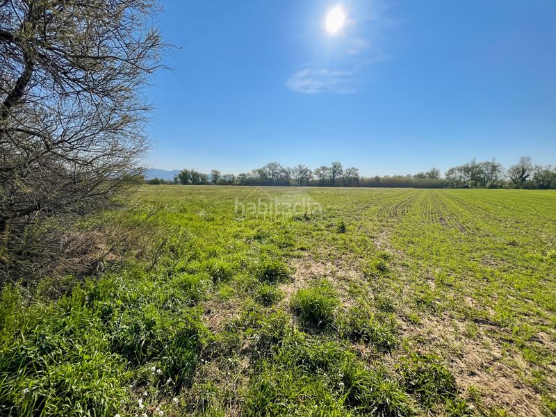 Foto d4949b33-ce18-4709-b52a-9495cd30e0a4. Terreno residencial terreno rústicoagrícola no edificable de 8 398 m, , en la costa brava, cerca de figueres y roses.una de sus mayores en Empuriabrava