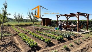 Landgut  Carretera d'artesa. Terreno en venta de regadio en claravalls