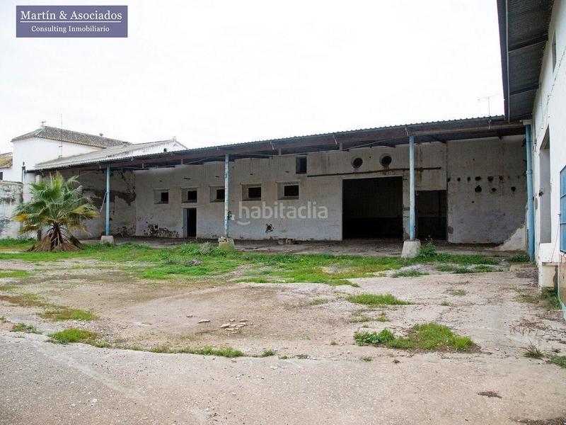 Foto 00856078-d21f-404c-bd63-4a3e2e7ffbf1. Terreno residencial en carmona 57 en Marchena