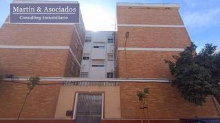 Pis a Pino 4