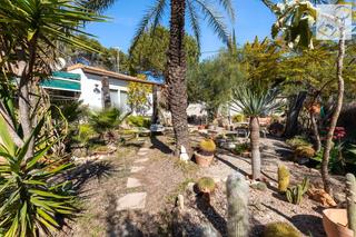 Casa en Lomas de Cabo Roig - Los Dolses