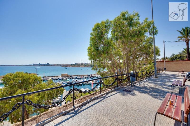 Foto c19cbf96-fac7-4212-9421-af34376d09ea. Masía en La Florida Orihuela