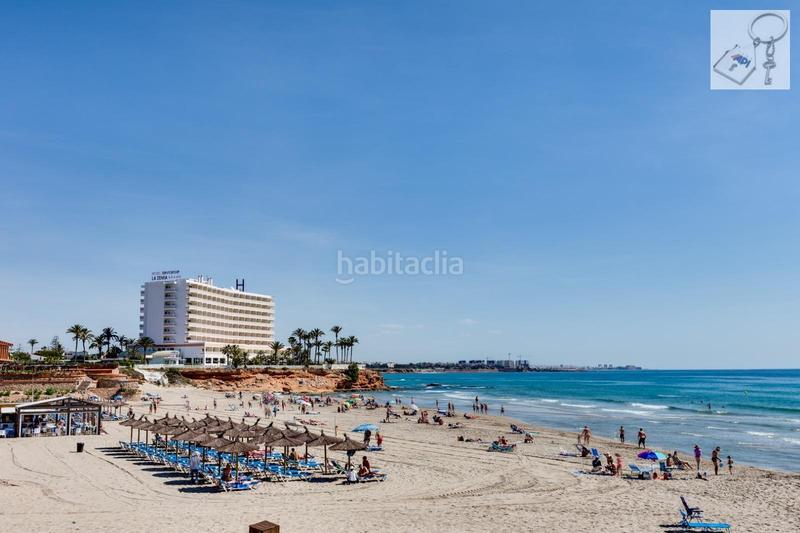 Foto d66f058b-11ea-49f1-b503-52bc48427c3c. Masía en La Florida Orihuela