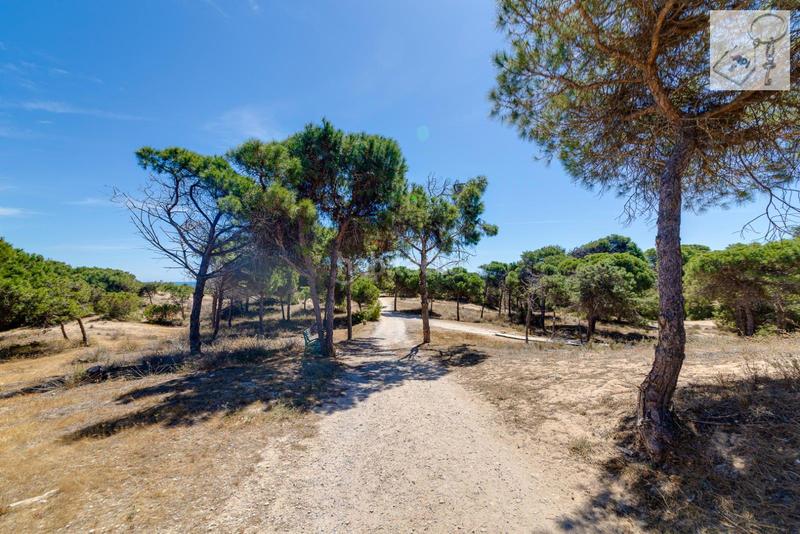 Foto bcd27a68-7ef9-4f87-a754-0795fe1dab38. Apartamento en El Moncayo - El Pòrtic Guardamar del Segura