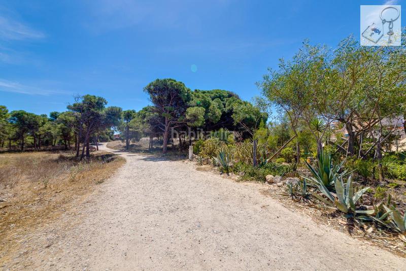 Foto 1016c59d-1359-459e-8f83-32024bbabf59. Appartement in El Moncayo - El Pòrtic Guardamar del Segura