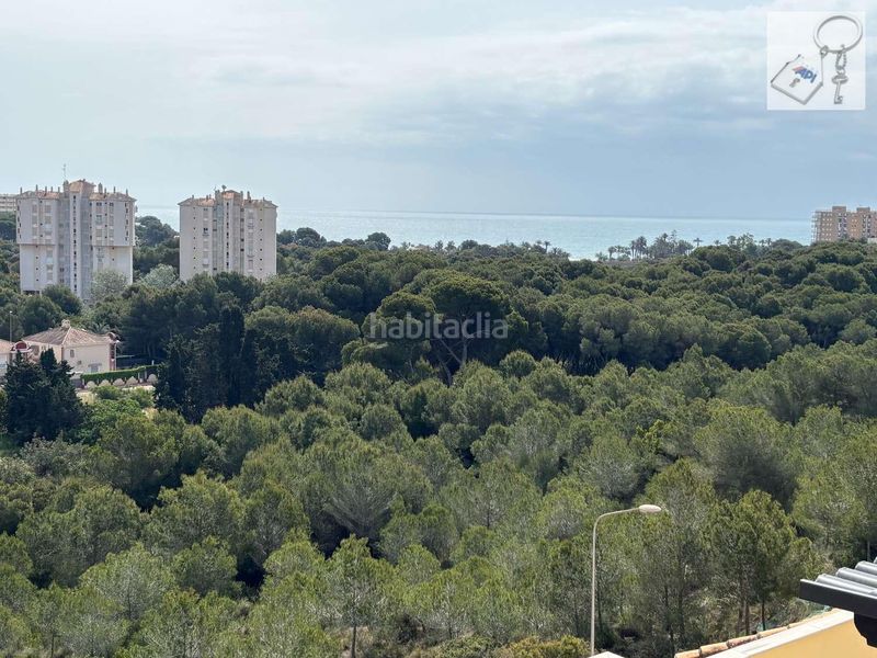 Foto cef94fc4-9118-47f7-9118-17f46b864895. Dúplex a n/a 18 a Campoamor Orihuela