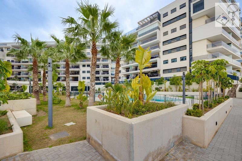 Foto ca901ea1-f72c-4d81-91c5-d4d3f06f9f5a. Pis amb piscina a Campoamor Orihuela